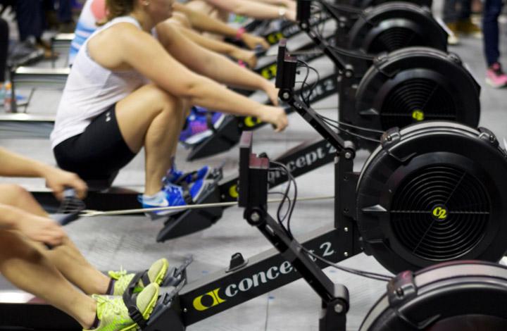 ErgRace software lets you run races for many ergs wired together